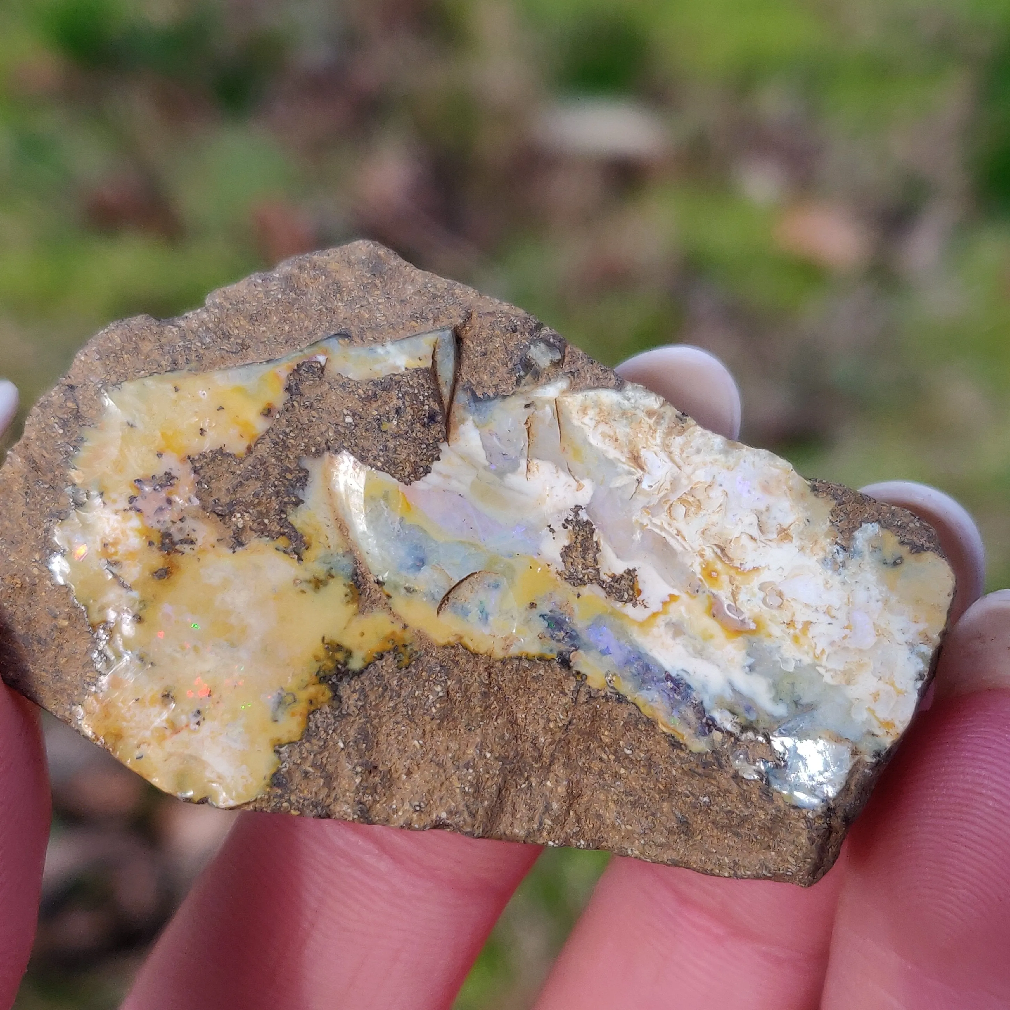 Australian Boulder Opal Rough Specimen (#7)