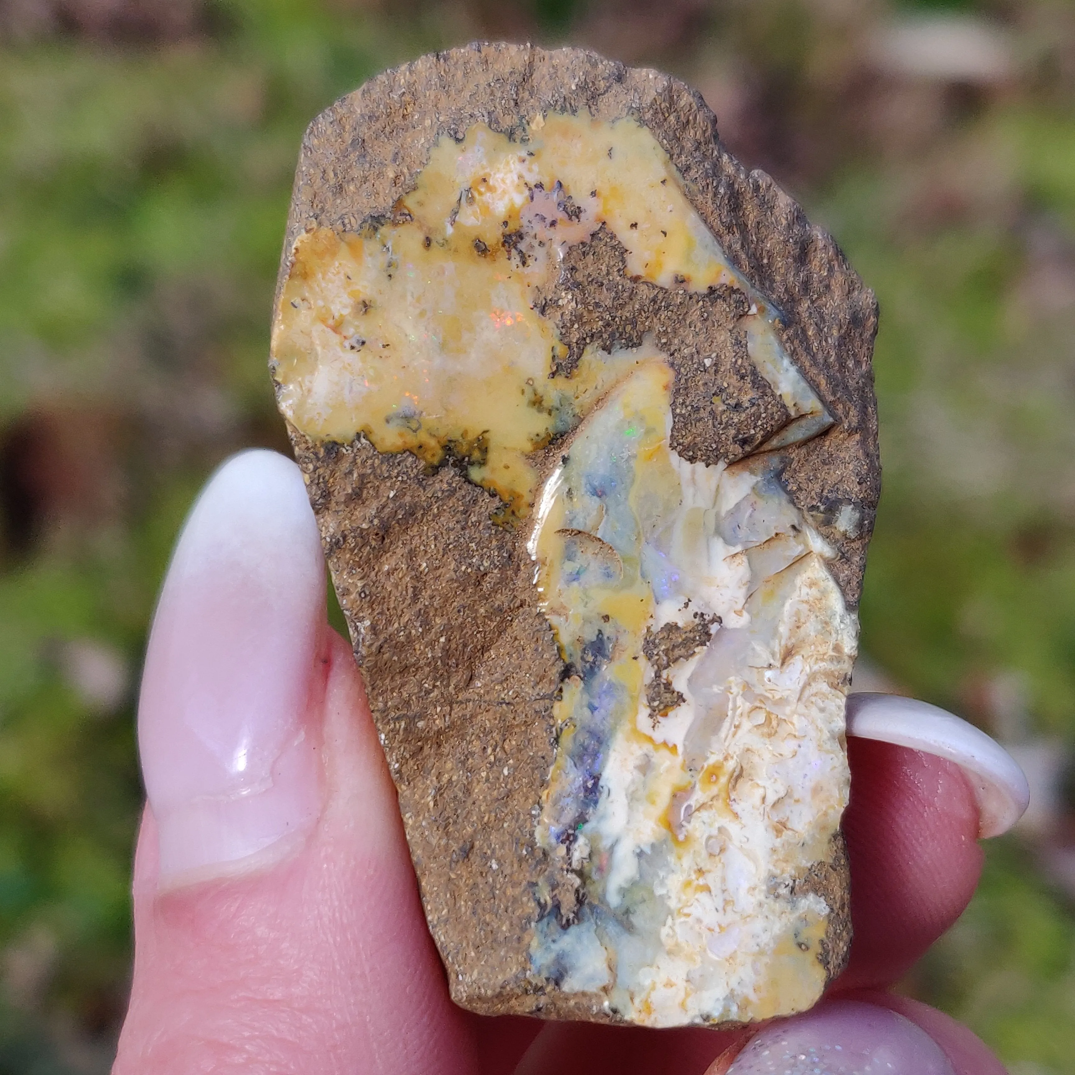 Australian Boulder Opal Rough Specimen (#7)