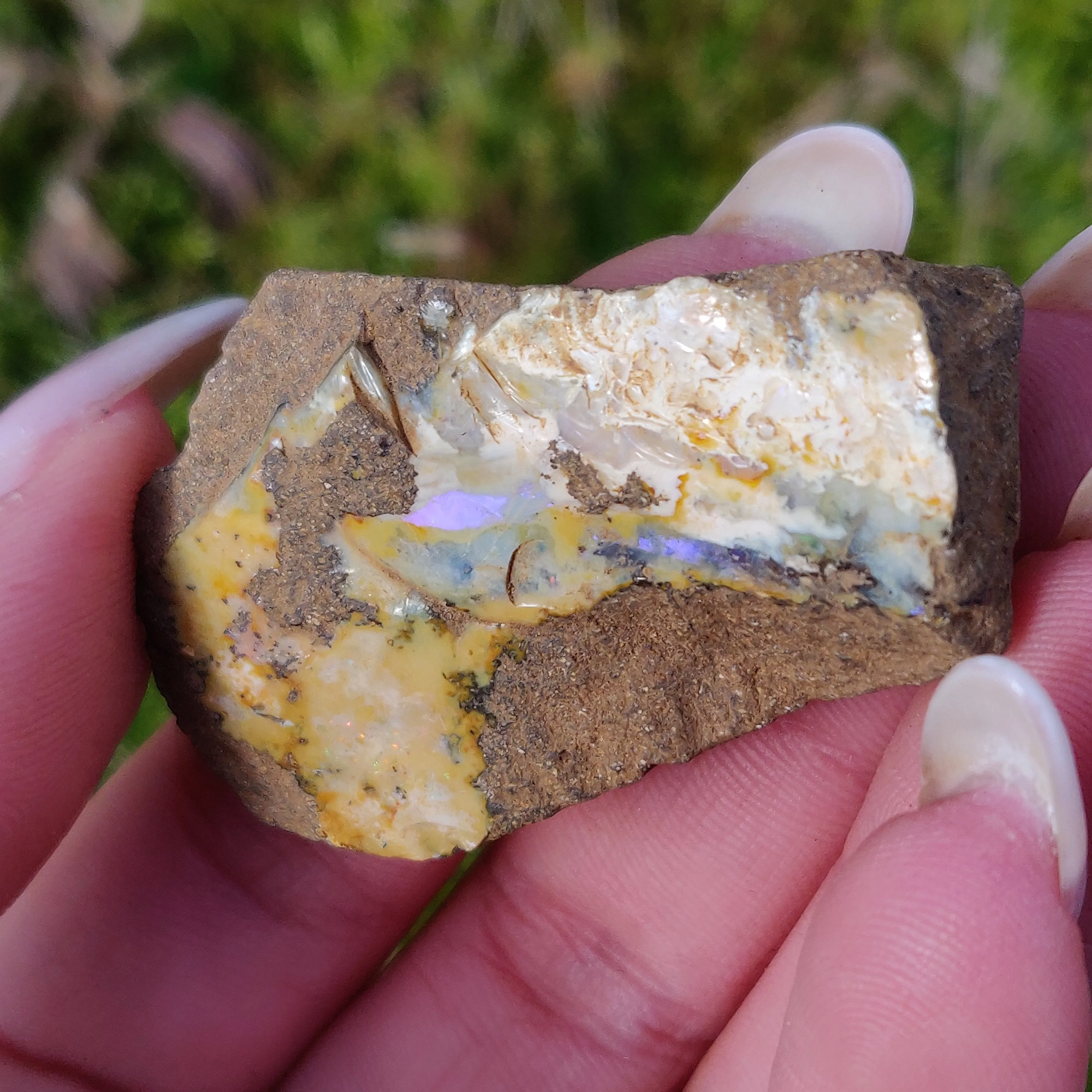 Australian Boulder Opal Rough Specimen (#7)