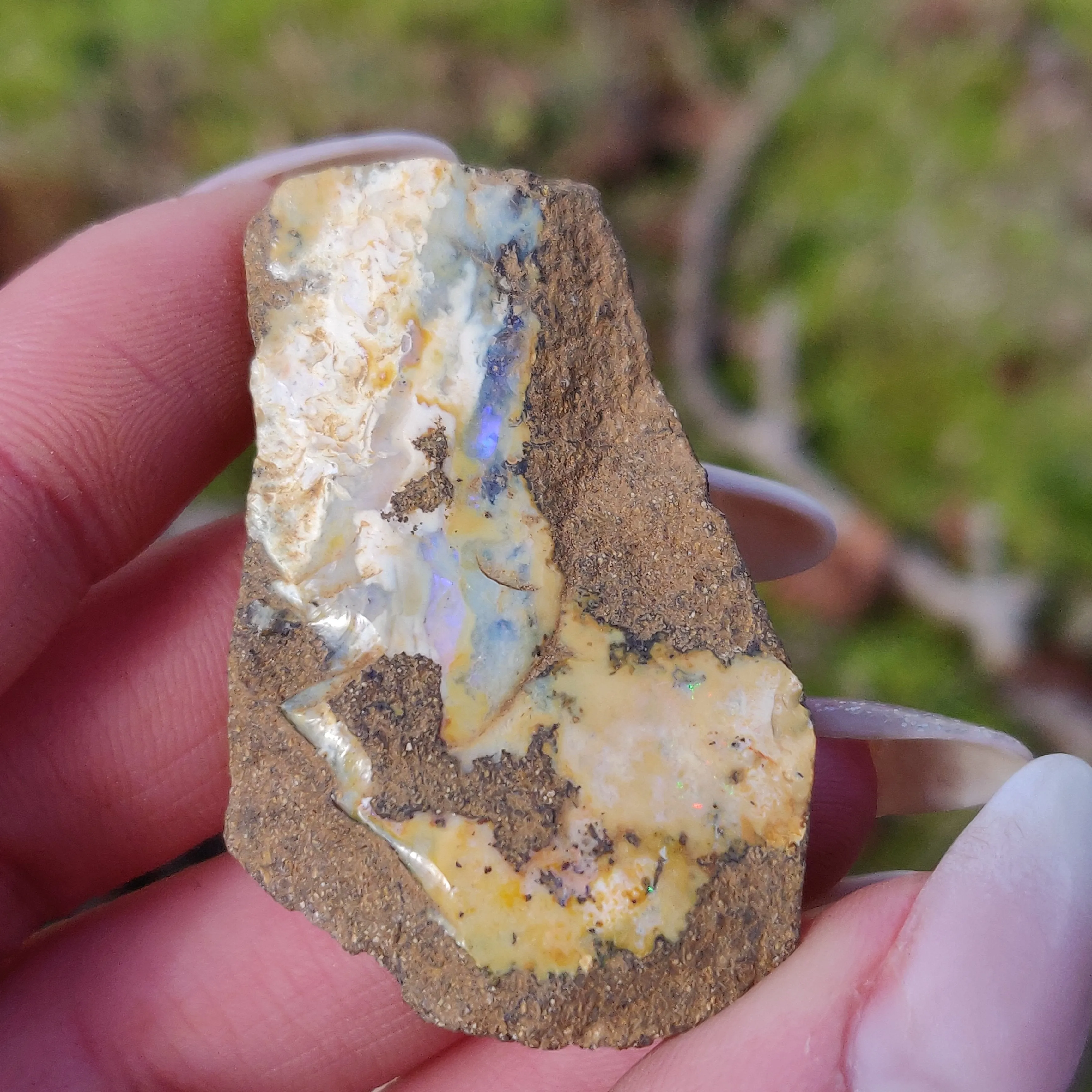Australian Boulder Opal Rough Specimen (#7)