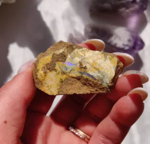 Australian Boulder Opal Rough Specimen (#7)
