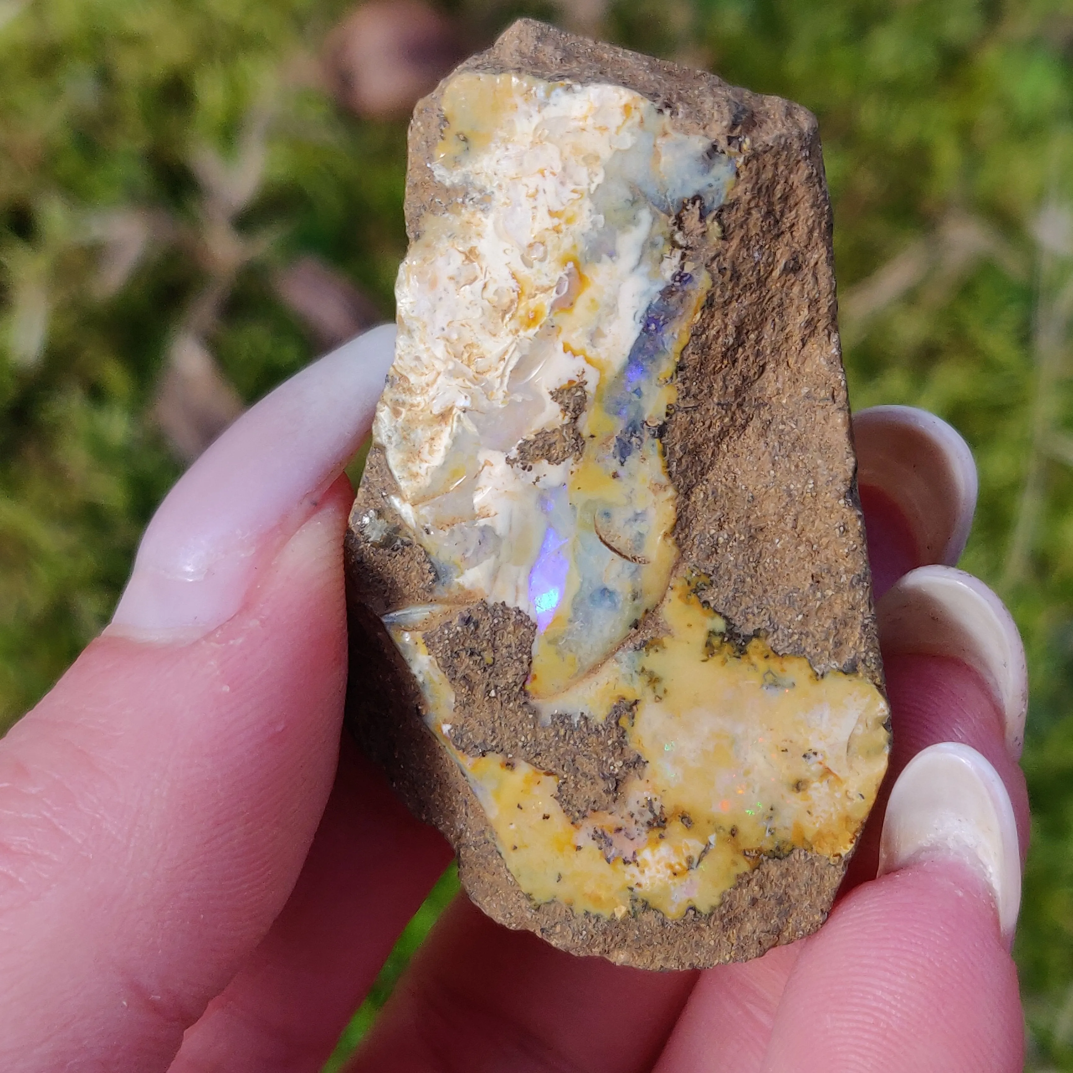 Australian Boulder Opal Rough Specimen (#7)