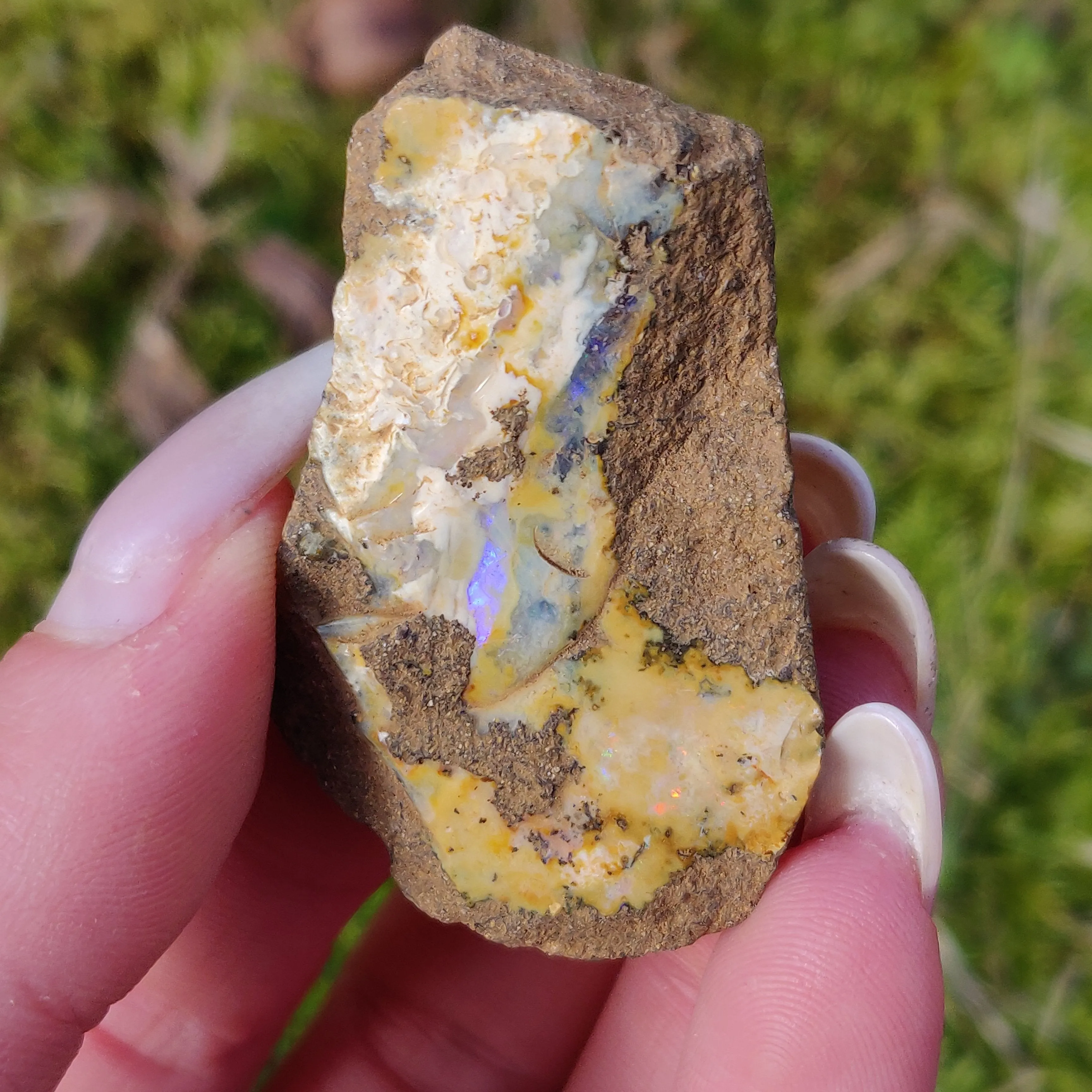 Australian Boulder Opal Rough Specimen (#7)