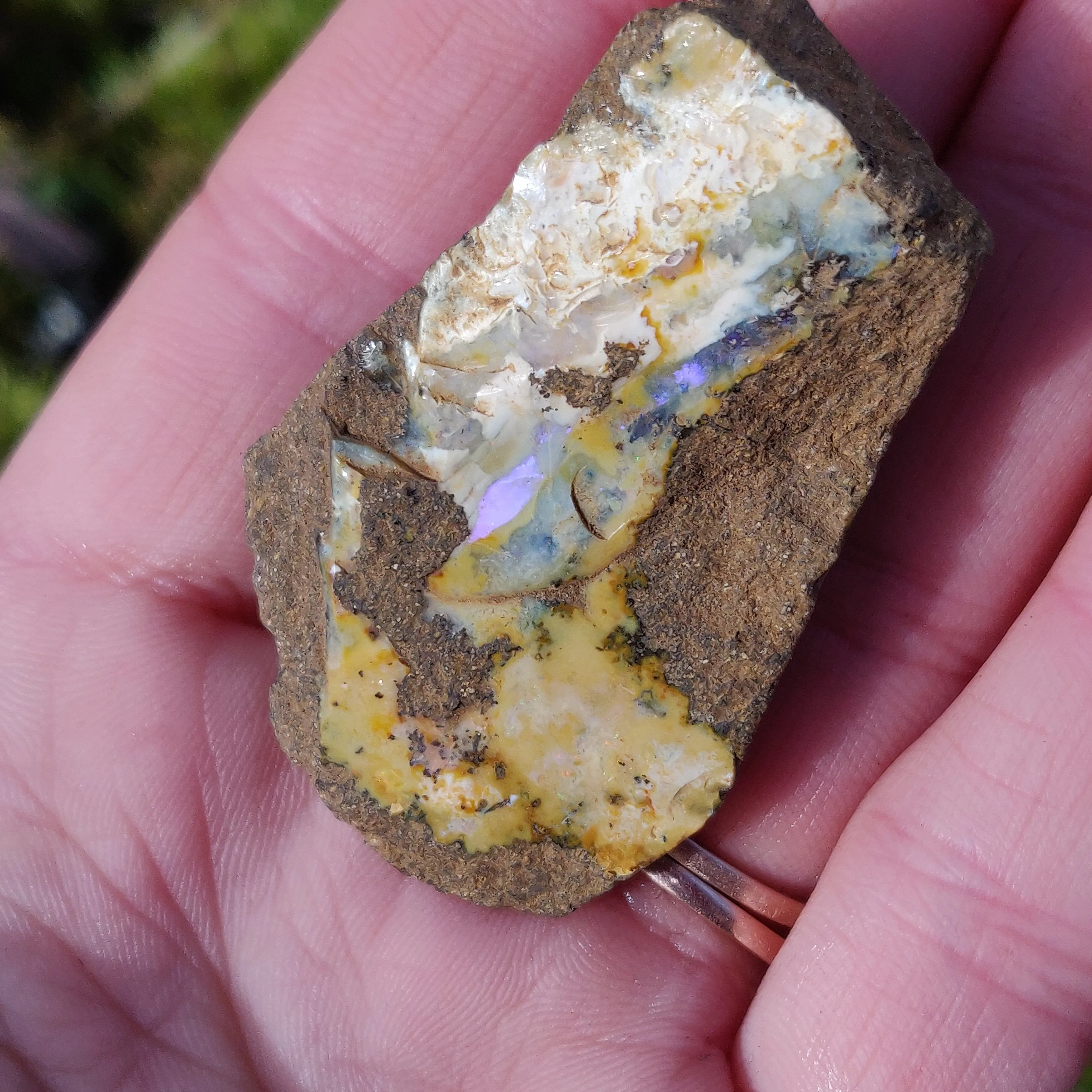 Australian Boulder Opal Rough Specimen (#7)