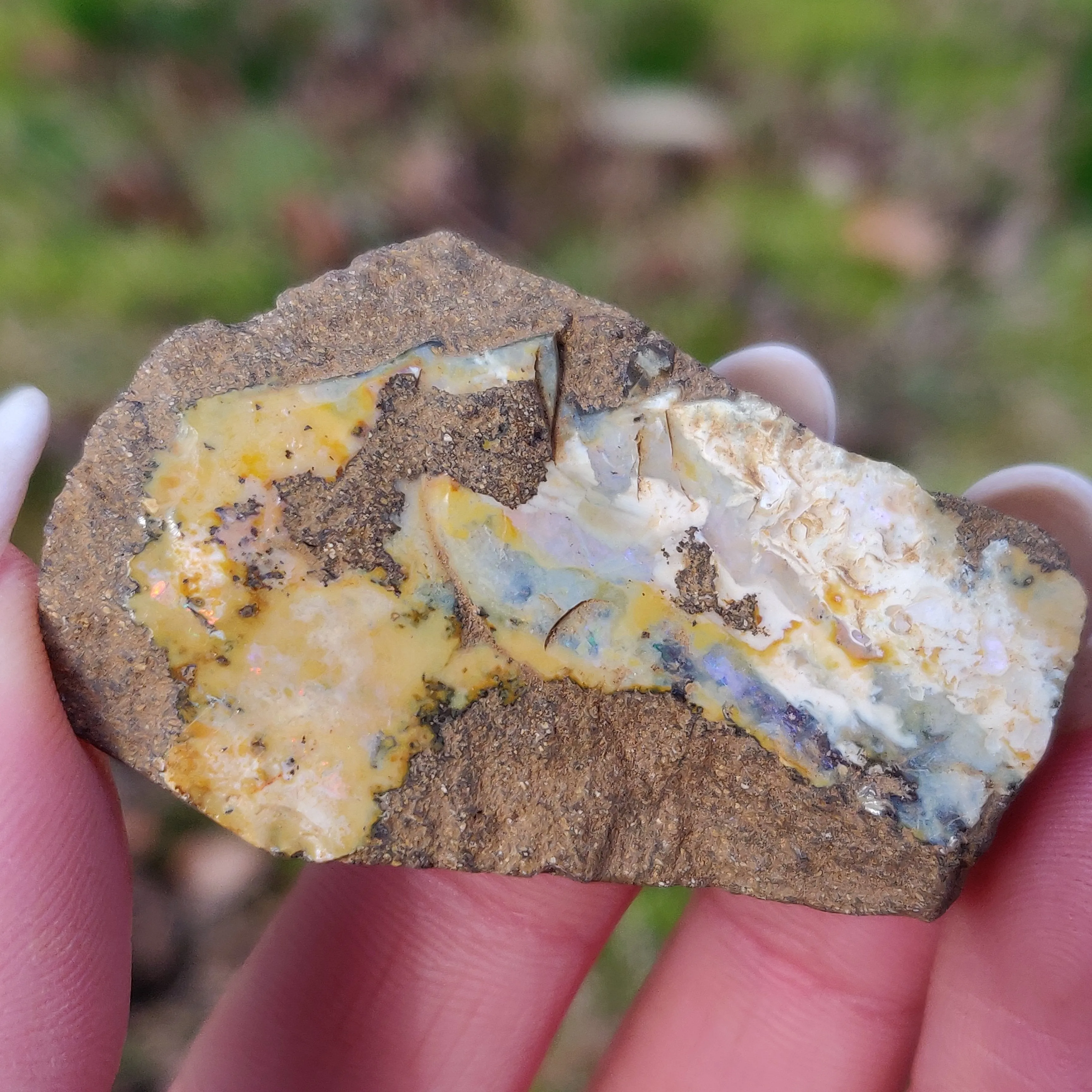 Australian Boulder Opal Rough Specimen (#7)