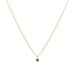 Birthstone Necklace | Gold & Ruby