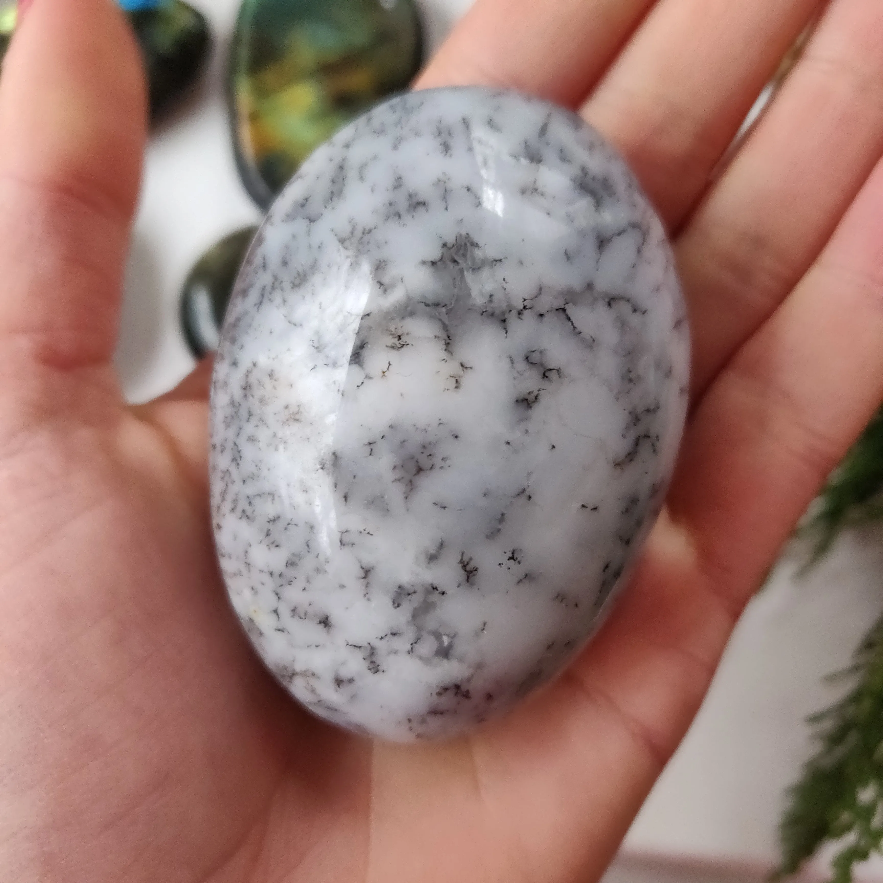 Dendritic Opal  Palm Stone (#24)