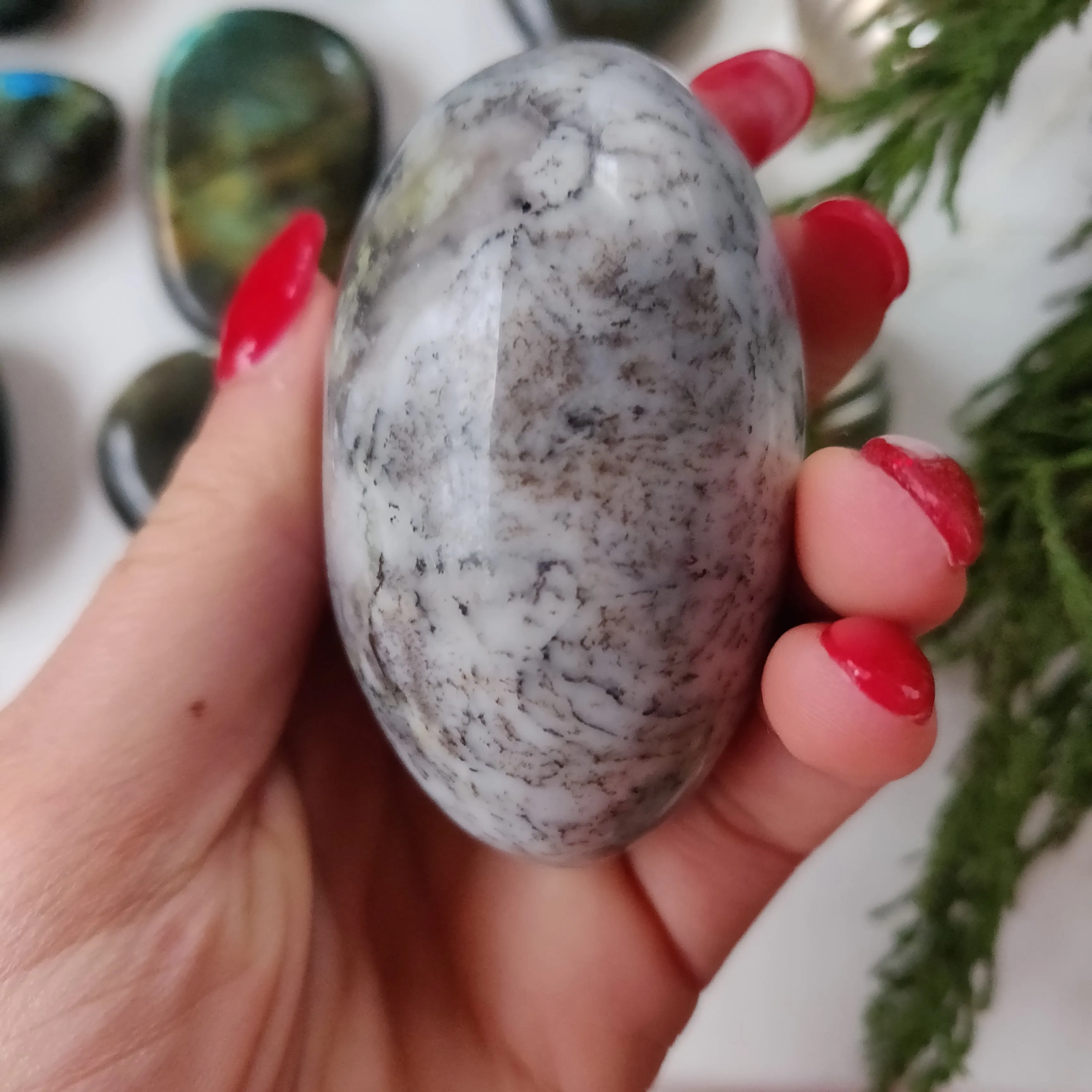 Dendritic Opal  Palm Stone (#24)