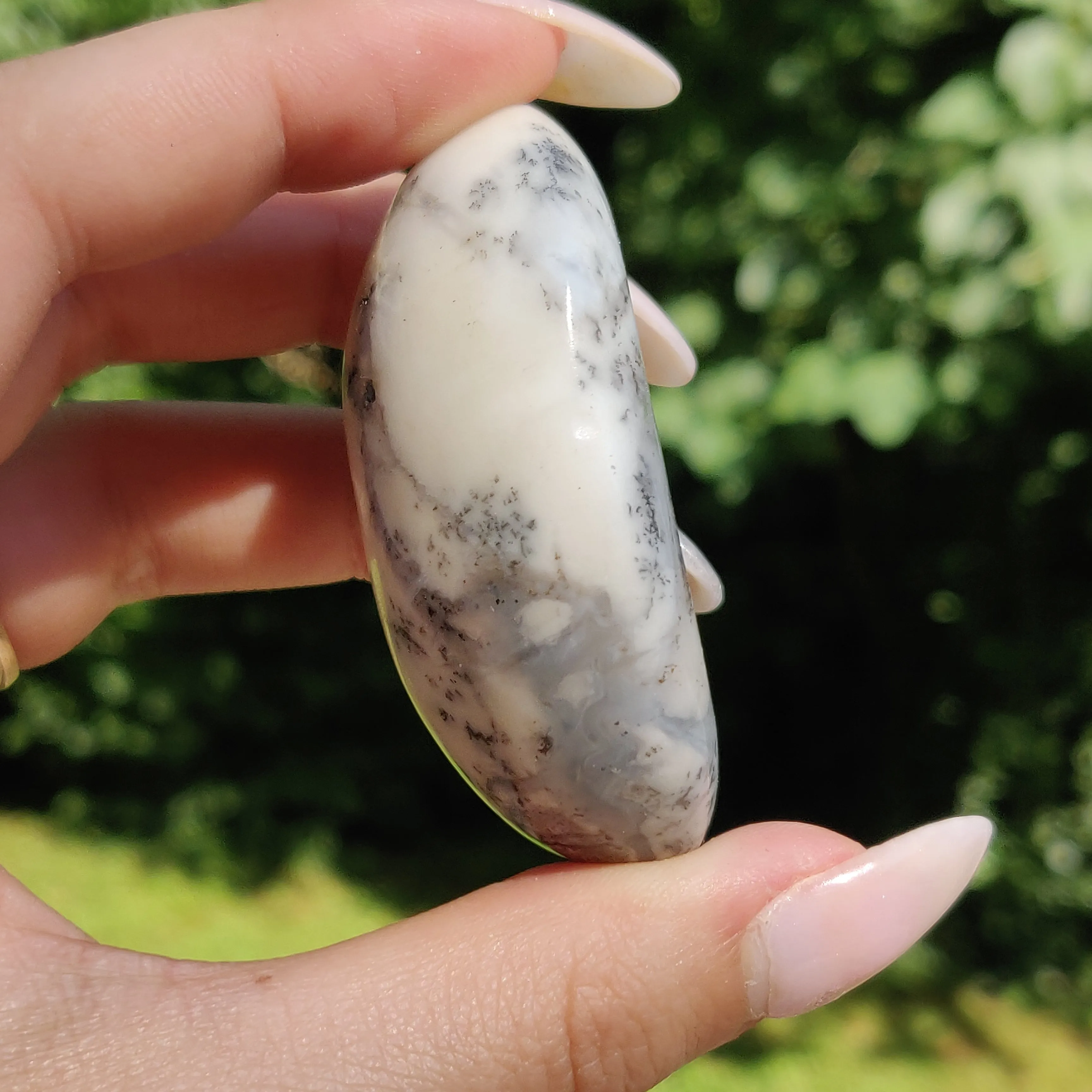 Dendritic Opal Palm Stone (#27)