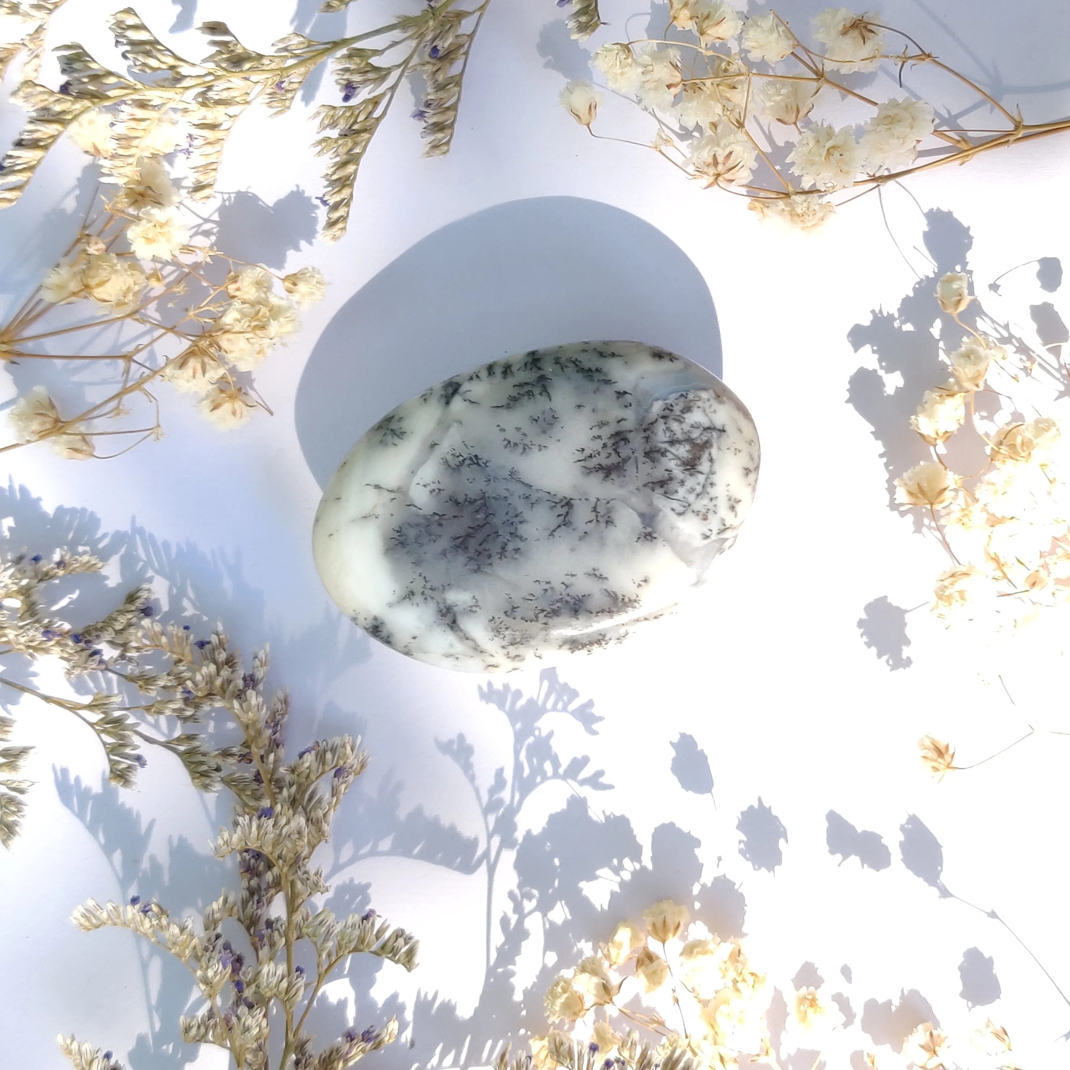Dendritic Opal Palm Stone (#27)