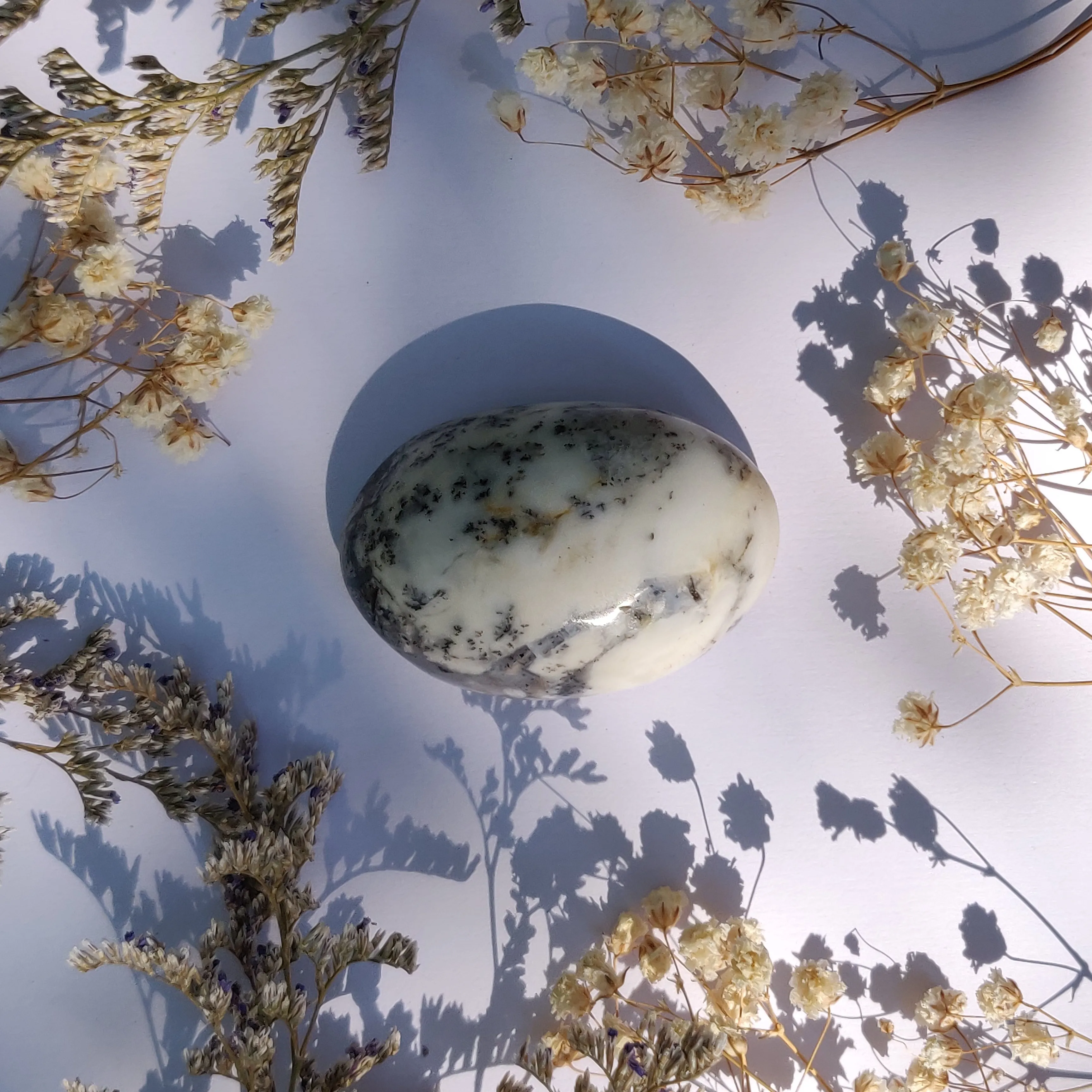 Dendritic Opal Palm Stone (#27)