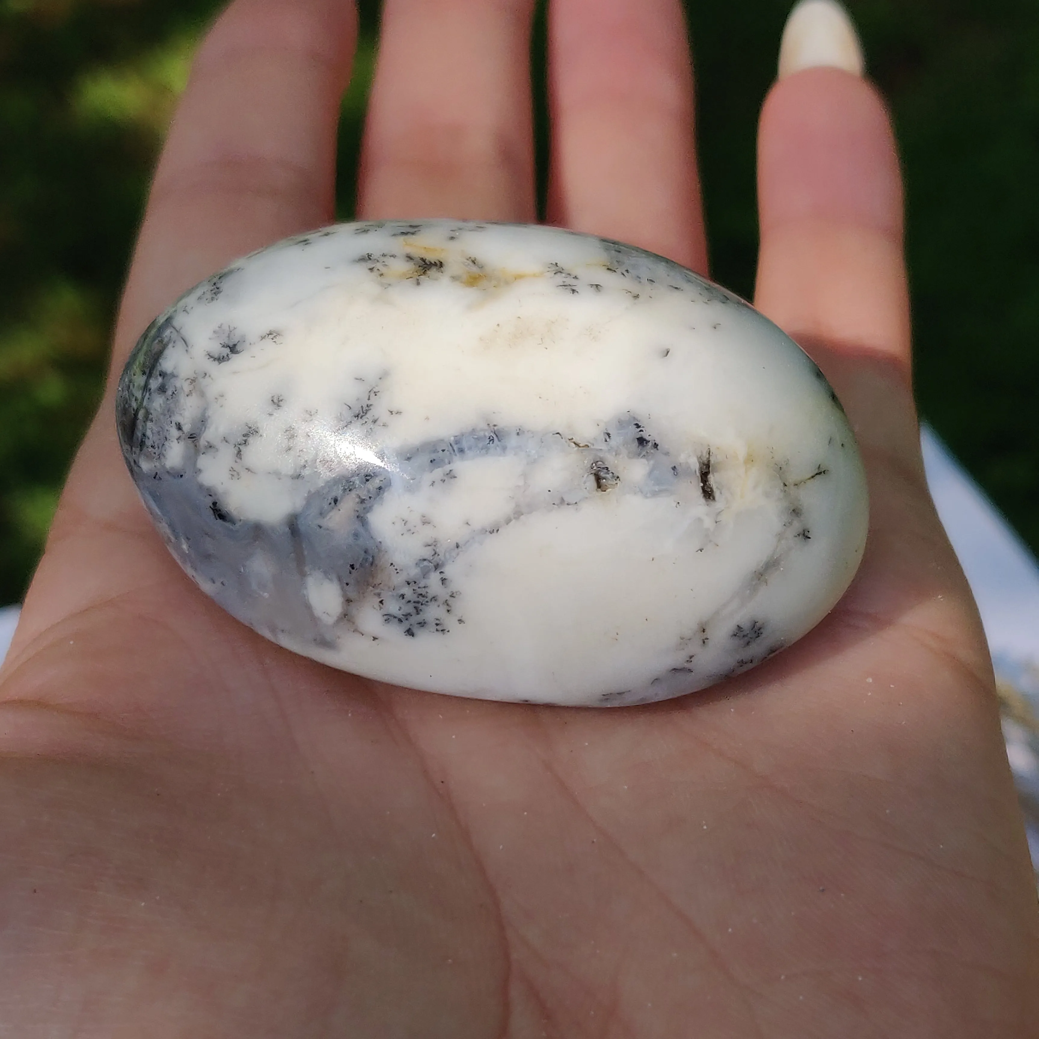 Dendritic Opal Palm Stone (#27)