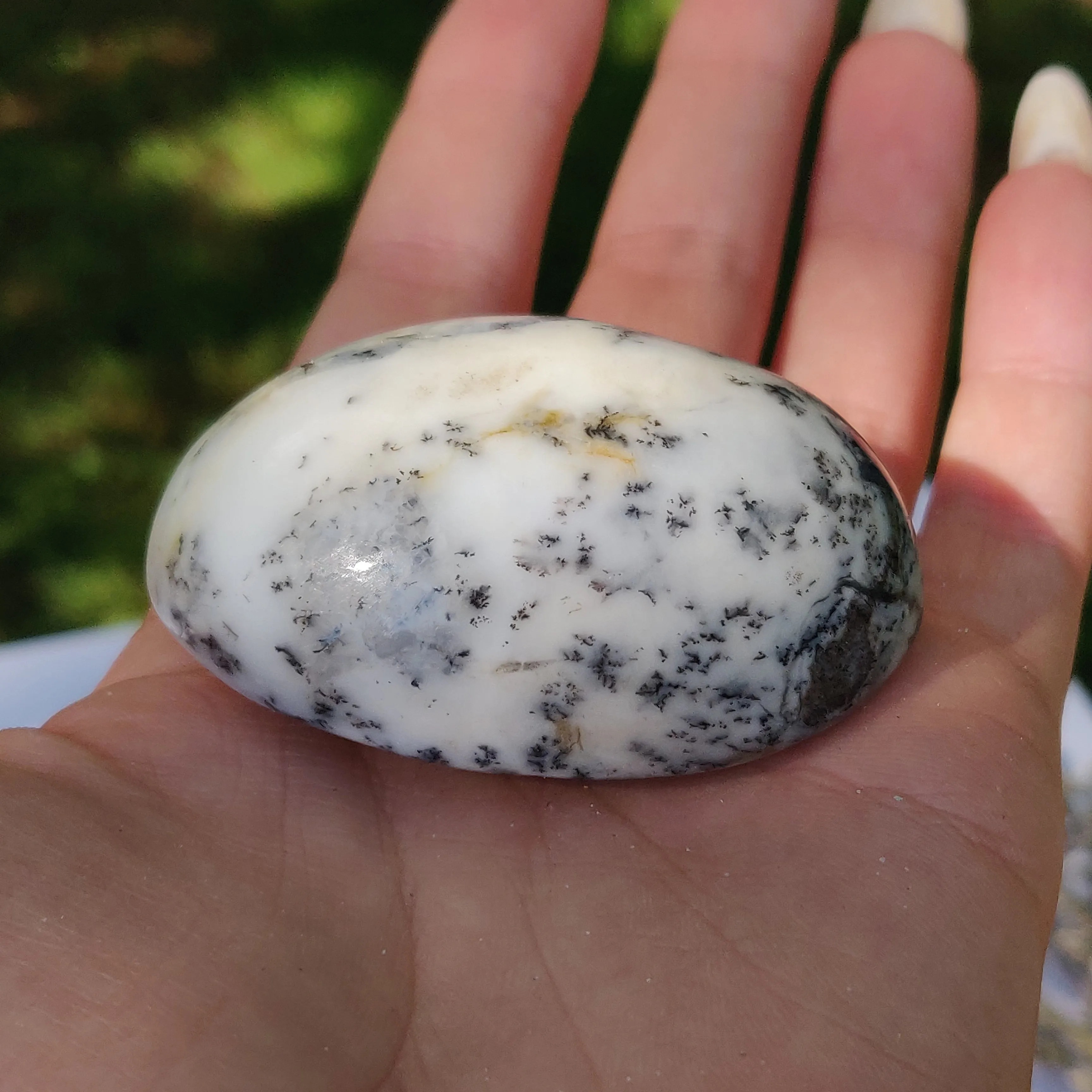 Dendritic Opal Palm Stone (#27)