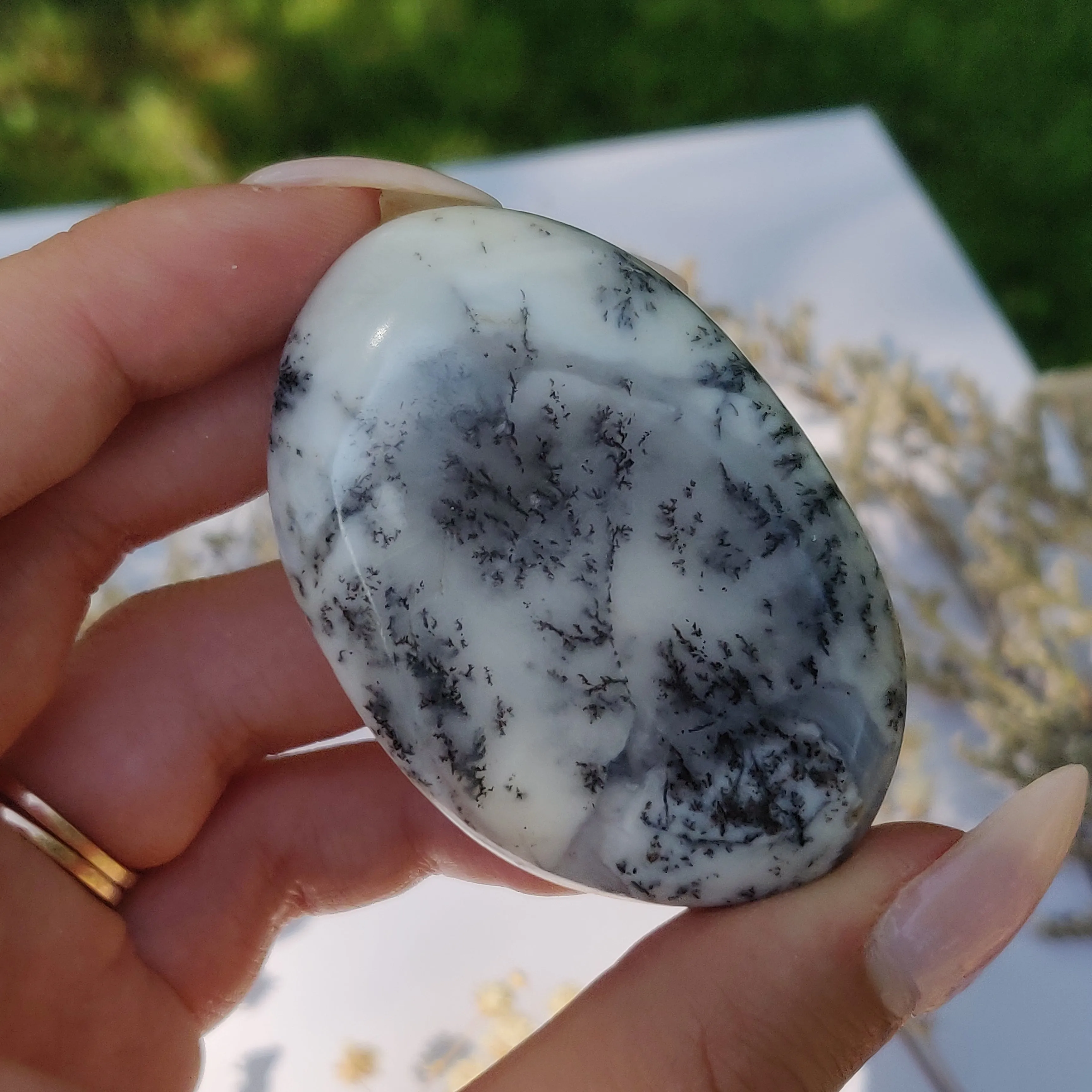 Dendritic Opal Palm Stone (#27)