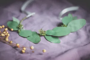 Eucalyptus dog Collar, Eucalyptus Dog Crown, Eucalyptus Pet crown, Eucalyptus Cat crown, Eucalyptus Cat Collar,Pet Birthday,Wedding Pet