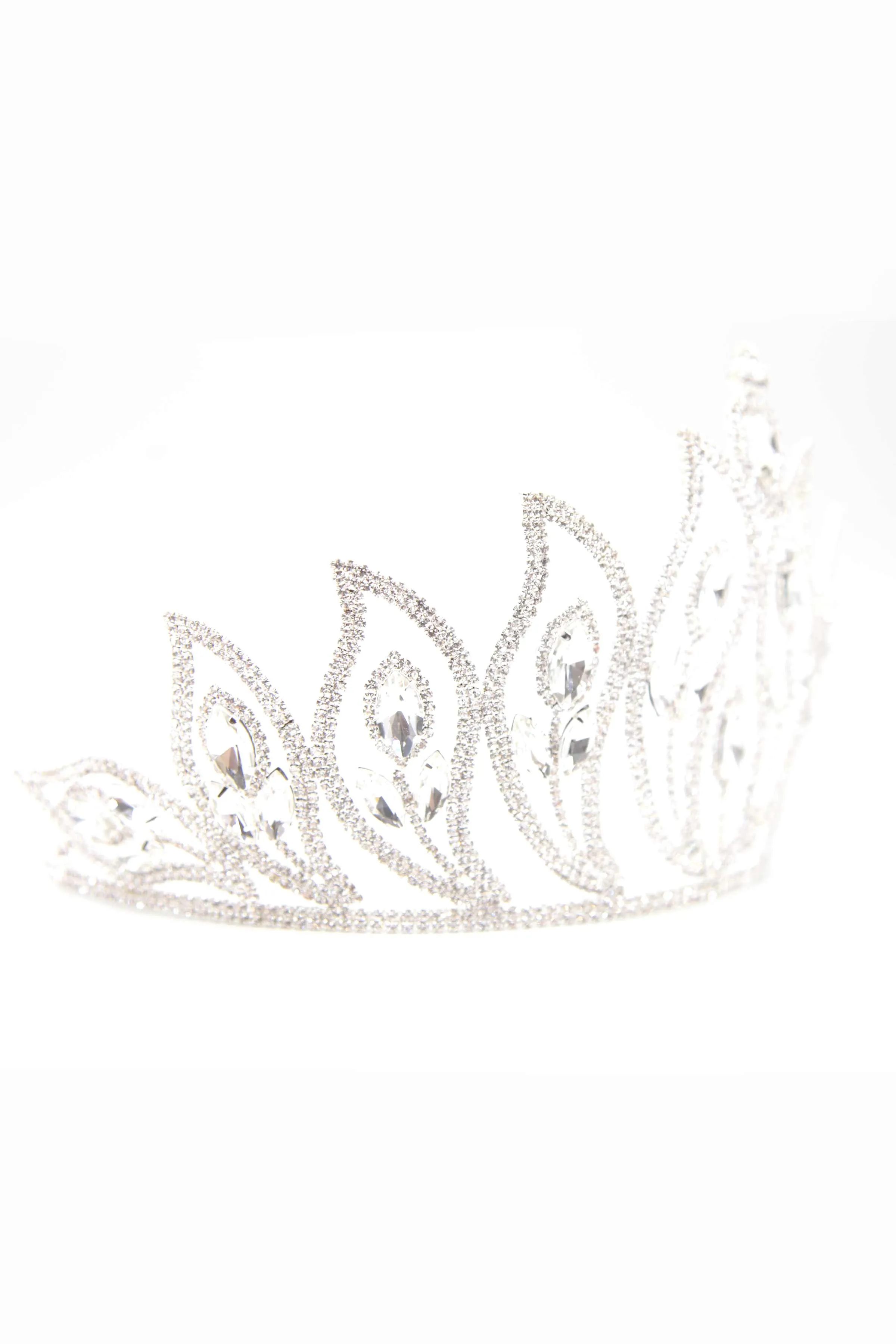 Frozen Garden Crown